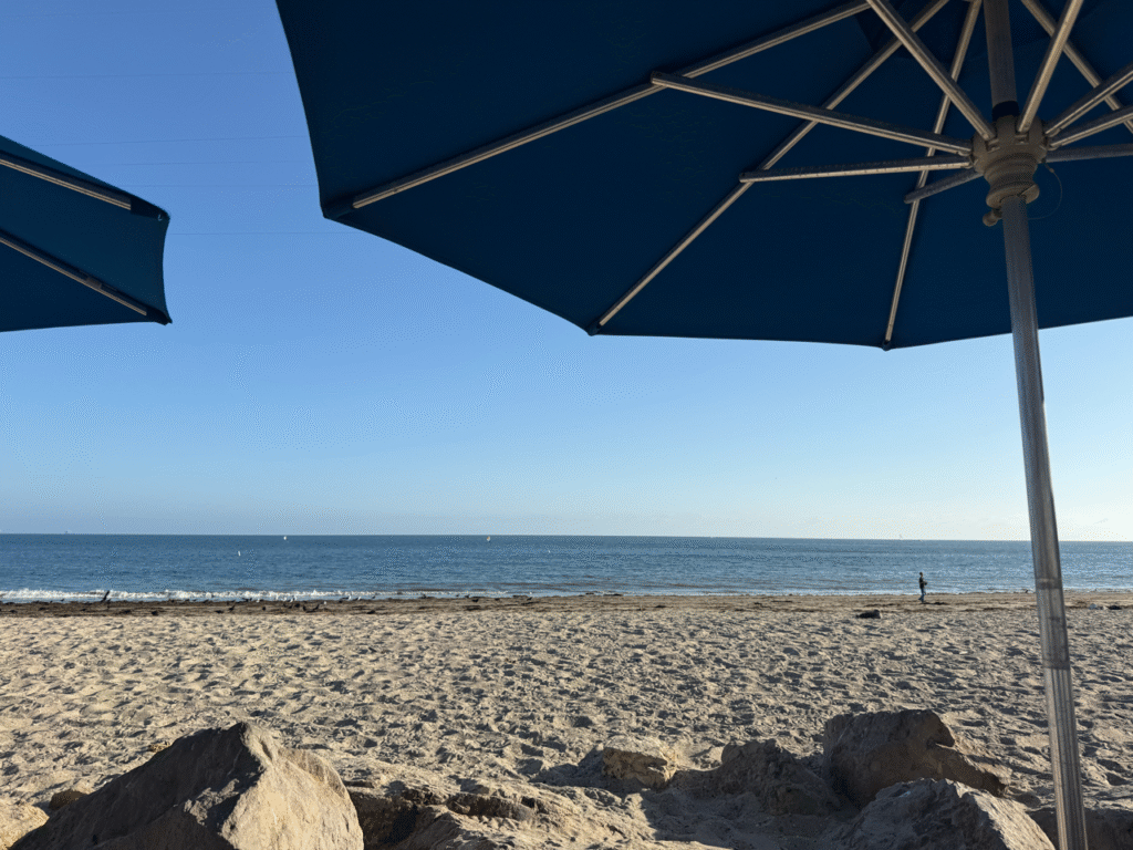 IMG 6064 2 Large 1024x768