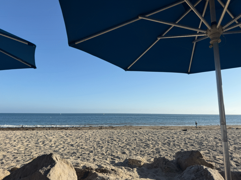 IMG 6064 2 Large 768x576