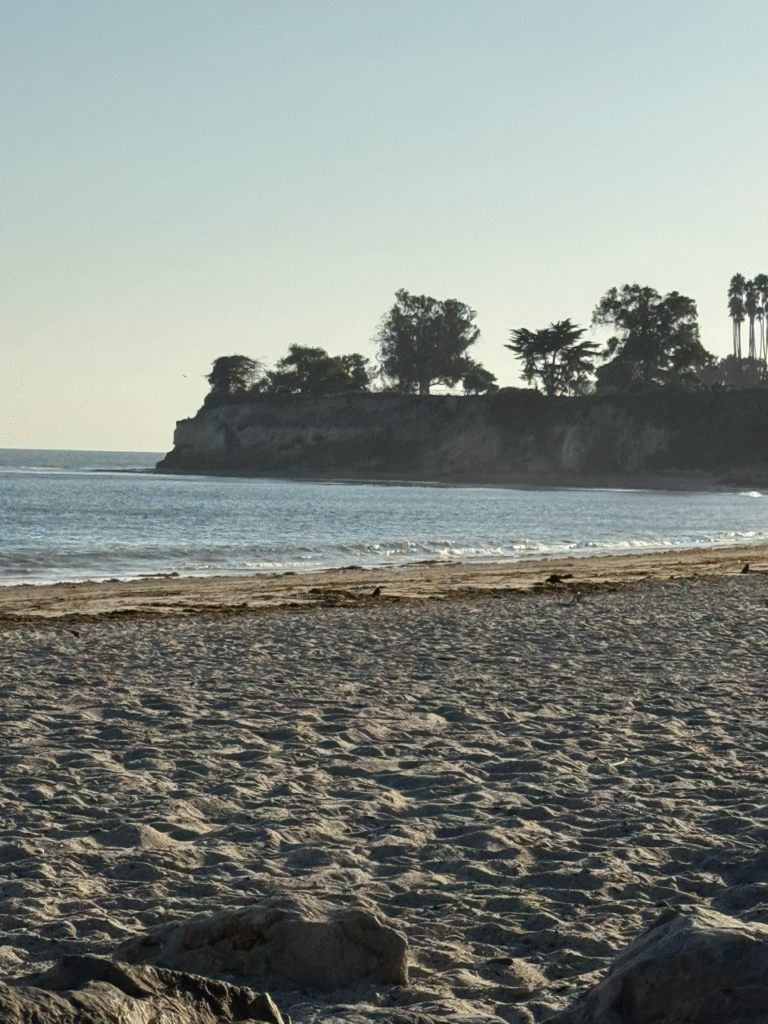 IMG 6066 Large 768x1024